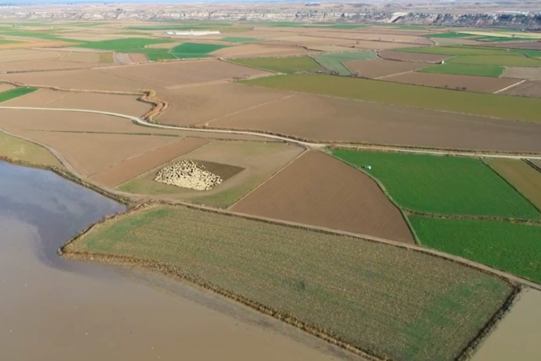 campos de cultivo y rebaños de ovejas en el tramo medio del Ebro