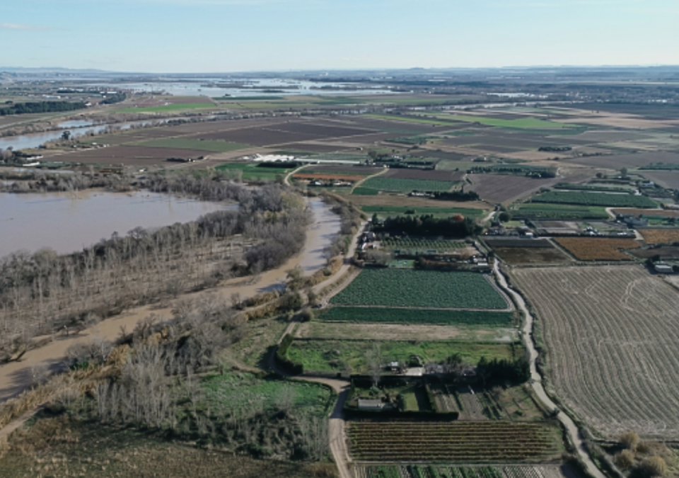 Campos cultivados en el tramo medio del Ebro. Vista de dron.