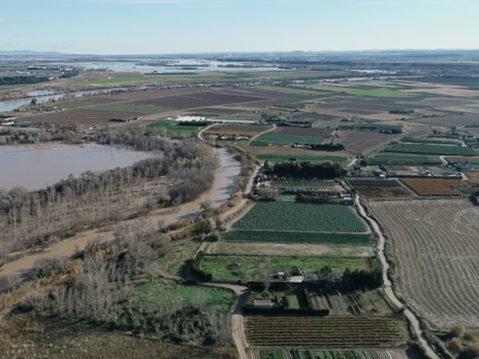 Cultivated fields in the middle stretch of the Ebro. Drone view.