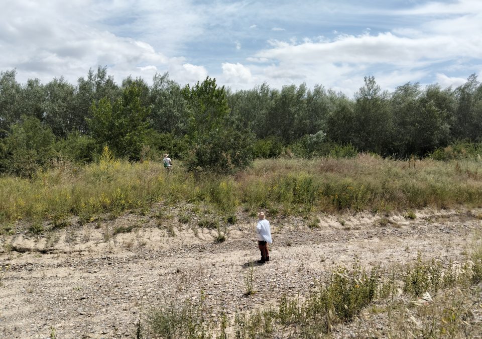 Trabajo de campo del seguimiento ambiental LIFE Ebro Resilience P1. En un canal secundario del Soto de Alfaro (La Rioja)