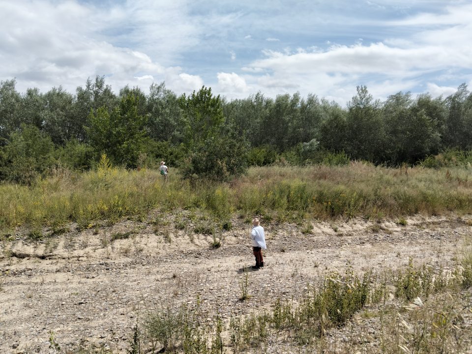 Trabajo de campo del seguimiento ambiental LIFE Ebro Resilience P1. En un canal secundario del Soto de Alfaro (La Rioja)