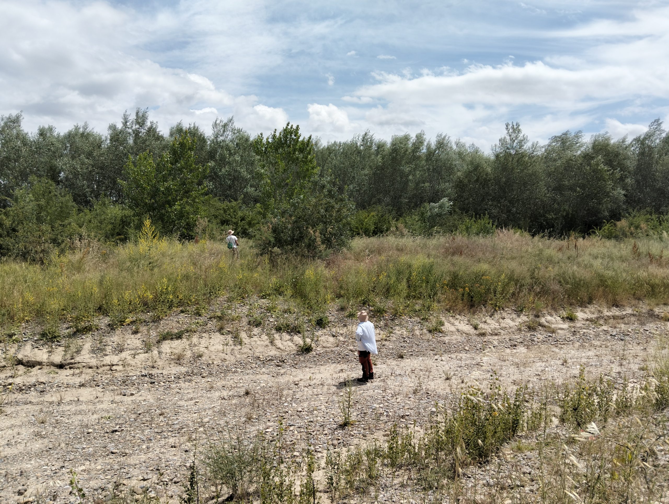 Trabajo de campo del seguimiento ambiental LIFE Ebro Resilience P1. En un canal secundario del Soto de Alfaro (La Rioja)