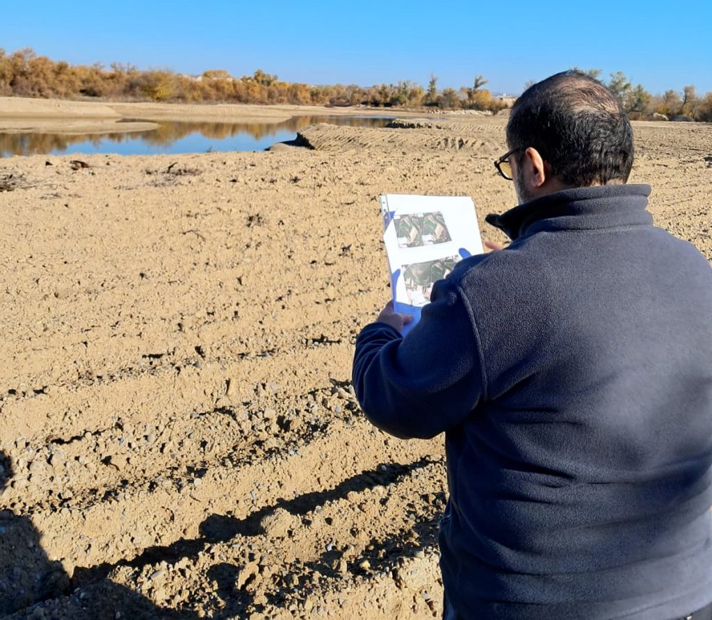 Trabajo de campo del seguimiento ambiental LIFE Ebro Resilience P1. Diciembre 2025