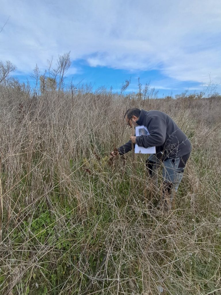 Trabajo de campo del seguimiento ambiental LIFE Ebro Resilience P1. En un canal secundario del Soto de Alfaro (La Rioja)