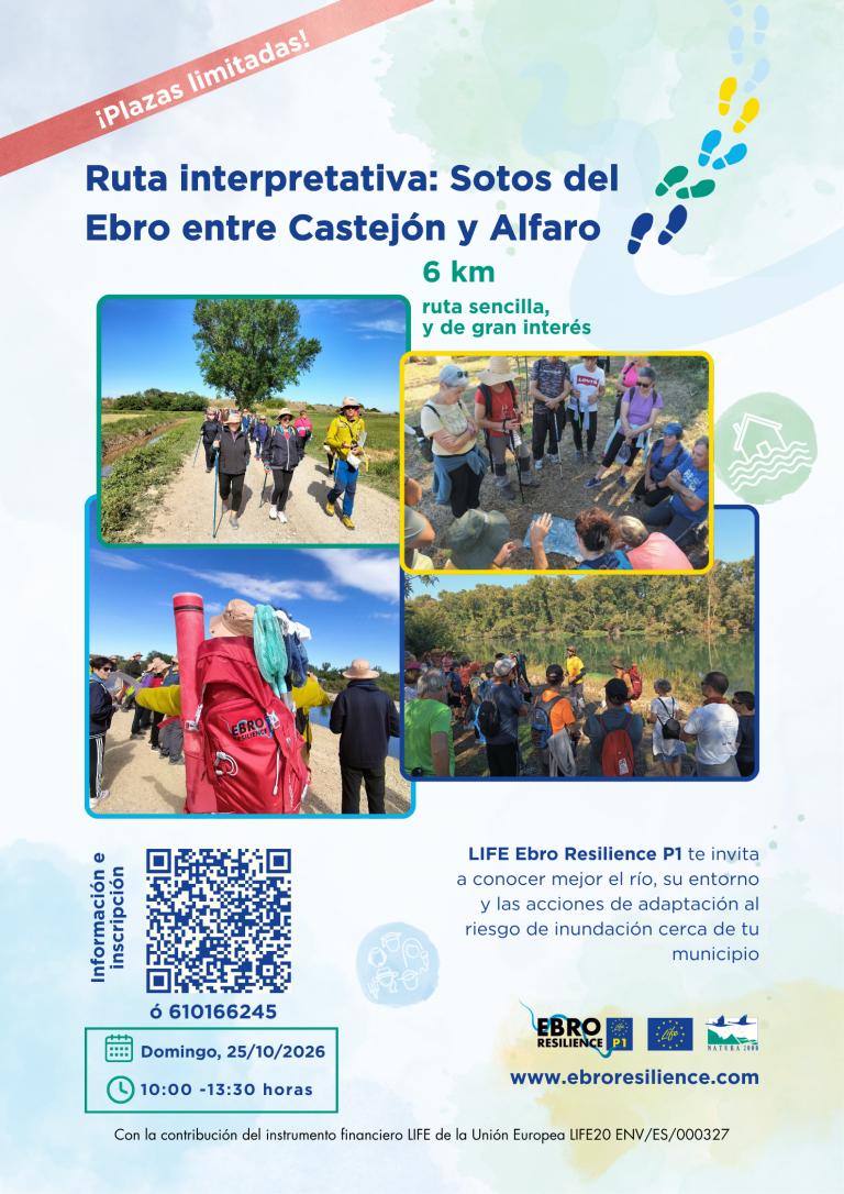 CARTEL-RUTA-CASTEJON-ALFARO-2026-Cartel-1