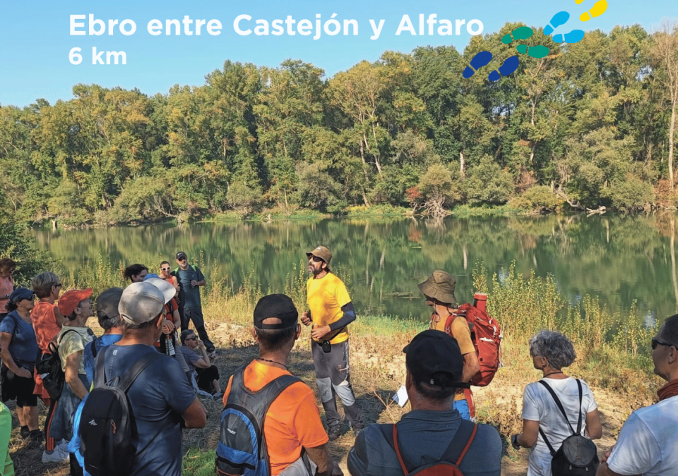Promotion of the Castejón–Alfaro route.