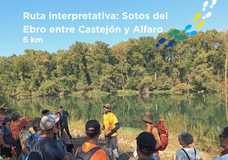 Promoción de la ruta Castejón - Alfaro.