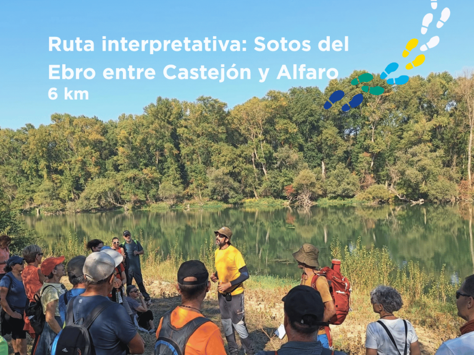Promoción de la ruta Castejón - Alfaro.