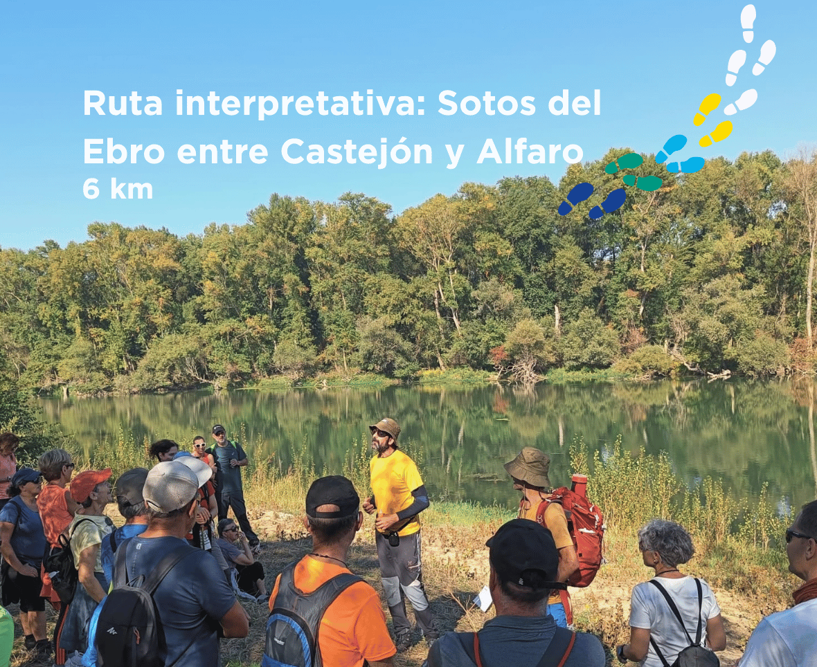 Promoción de la ruta Castejón - Alfaro.